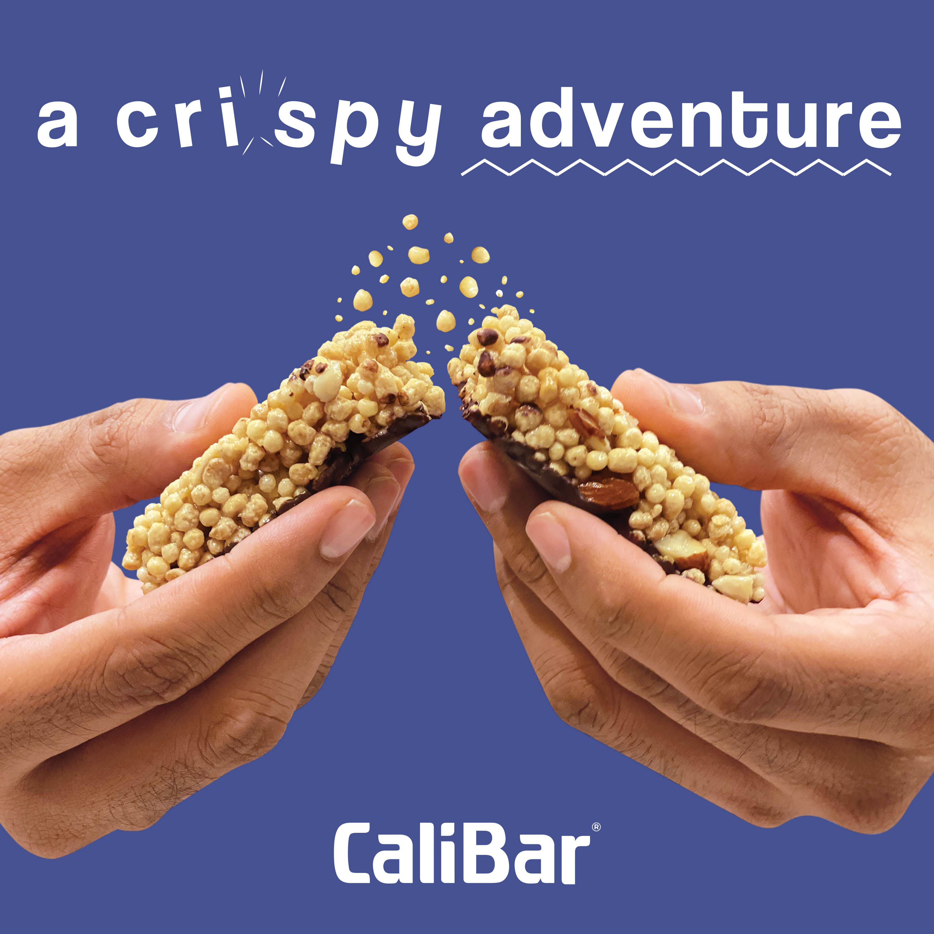 CaliBar 10g Protein Bar - Choco Blueberry Crispy Bar (Pack of 6)